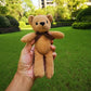 Cute Bear Stuffed Toy