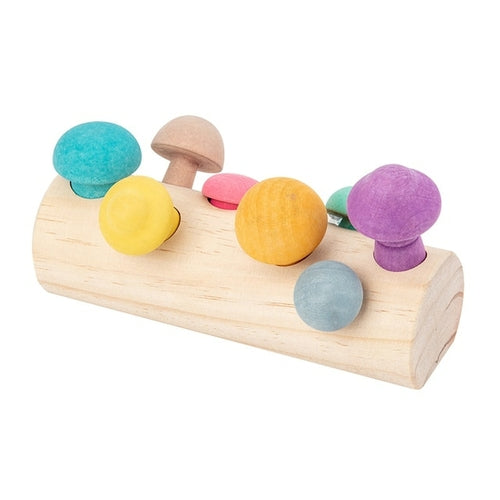 Montessori Wooden Toys for Child 6mo - 3yrs