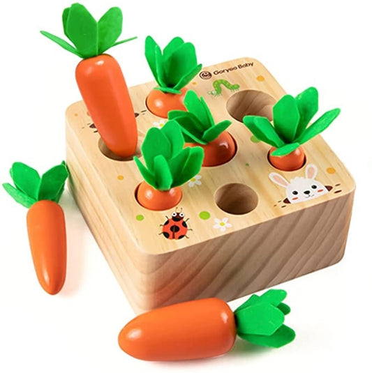 Montessori Wooden Toys for Child 6mo - 3yrs